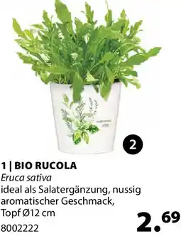 Dehner Bio rucola Angebot