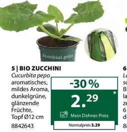 Dehner Bio zucchini Angebot