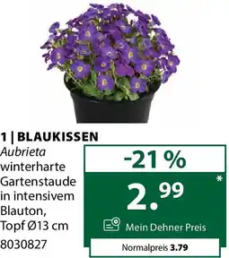 Dehner Blaukissen Angebot