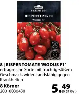 Dehner Rispentomate modus f1 Angebot
