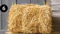 Dehner Strohballen Angebot