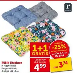 Interspar RUBIN Sitzkissen Angebot
