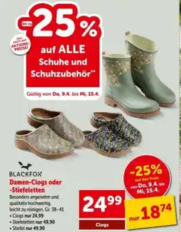 Interspar Damen-Clogs oder -Stiefeletten Angebot