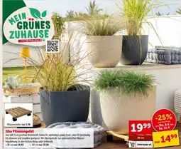 Interspar Elho pflanzengefäß Angebot