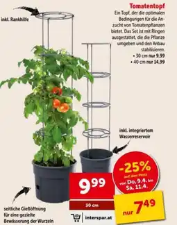 Interspar Tomatentopf Angebot