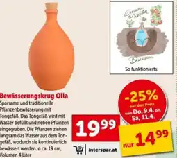 Interspar Bewässerungskrug olla Angebot