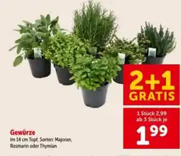 Interspar Gewürze Angebot