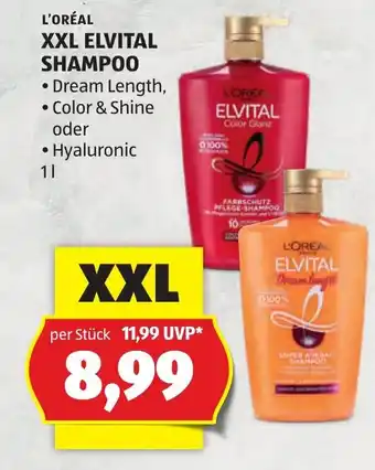 Hofer L'oréal paris elvital shampoo Angebot