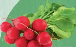 Spar Radieschen Angebot