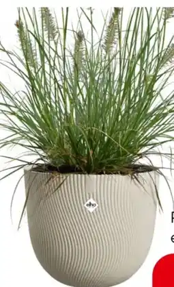 Eurospar elho Blumentopf Sereh Angebot