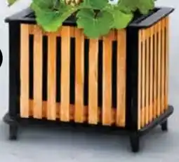 Dehner Dehner Pflanzkasten Boston Angebot