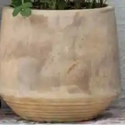 Dehner Dehner Pflanztopf Prato Angebot