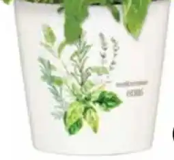 Dehner Übertopf Herba Angebot