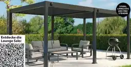 Dehner Weide Pergola Deluxe Angebot