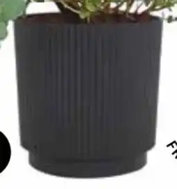 Dehner Pflanztopf Verti Angebot