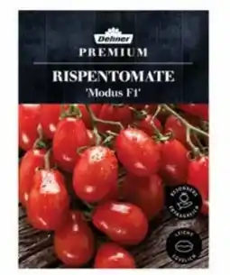 Dehner Dehner Premium Samen Rispentomate Modus F1 Angebot