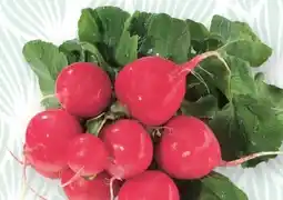 SPAR Gourmet Spar Natur pur Bio-Radieschen Angebot