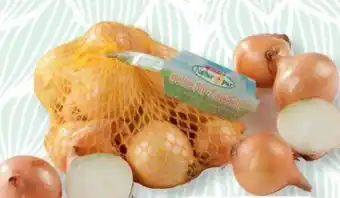 SPAR Gourmet Spar Natur pur Bio-Zwiebeln Angebot