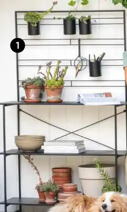 Dehner Dehner Metall-Pflanztisch Provence Angebot