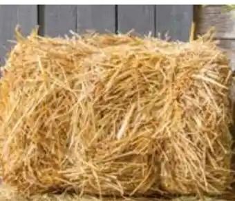 Dehner Dehner Lieblinge Strohballen Angebot