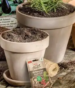 Interspar Terracotta-Topf Angebot