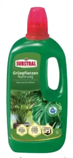 Dehner Substral Grünpflanzen-Nahrung Angebot