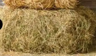 Dehner Dehner Lieblinge Wiesenheuballen Angebot