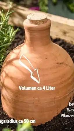 Interspar Bewässerungskrug Olla Angebot