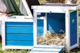 Dehner Dehner Lieblinge Nagerschlafhaus Teatro Angebot