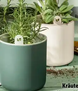 Interspar Kräutertopf Happy Herbs Angebot