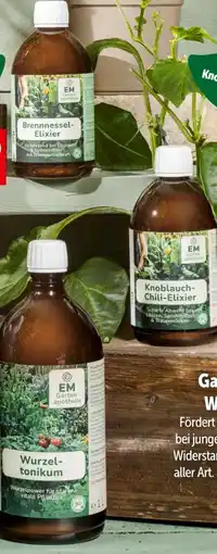Interspar Multikraft Gartenapotheke Wurzeltonikum Angebot