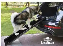 Dehner Dehner Lieblinge Hunderampe Bridge Angebot