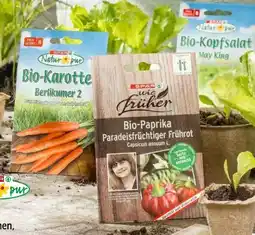 Interspar SPAR wie früher Bio-Saatgut Angebot