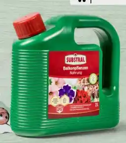 Interspar Substral Balkonpflanzennahrung Angebot