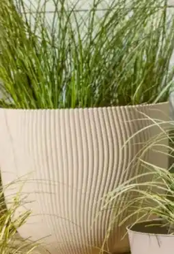 Interspar elho Pflanzgefäß Sereh Angebot