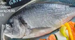 Interspar Goldbrasse Angebot