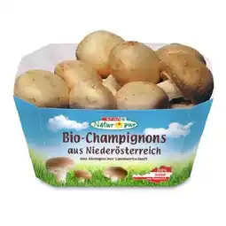SPAR Gourmet Bio-Champignons Crema SPAR Gourmet Angebot