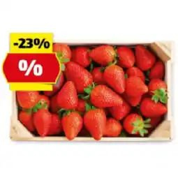Hofer Erdbeeren in der Steige HOFER Angebot
