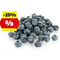 Hofer Gourmet Heidelbeeren HOFER Angebot