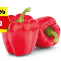 Hofer Paprika rot HOFER Angebot