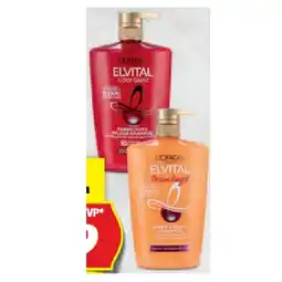 Hofer XXL Elvital Shampoo div. Sorten HOFER Angebot