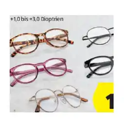 Hofer Damen-/Herren Lesehilfe +1,0 bis +3,0 Dioptrien HOFER Angebot