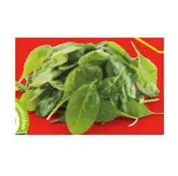 Hofer Bio-Babyspinat HOFER Angebot