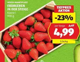 Hofer Hofer Marktplatz ERDBEEREN IN DER STEIGE Angebot