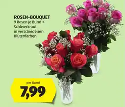 Hofer Rosenbouquet Angebot