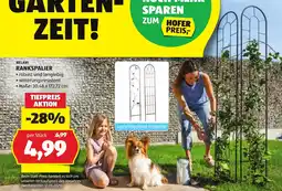 Hofer Belavi rankspalier Angebot