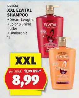 Hofer L'ORÉAL XXL ELVITAL SHAMPOO Angebot