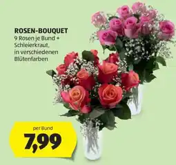 Hofer ROSEN BOUQUET Angebot