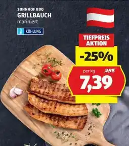 Hofer SONNHOF BBQ GRILLBAUCH mariniert Angebot