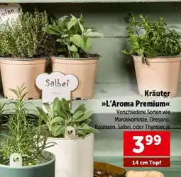 Interspar Kräuter Angebot